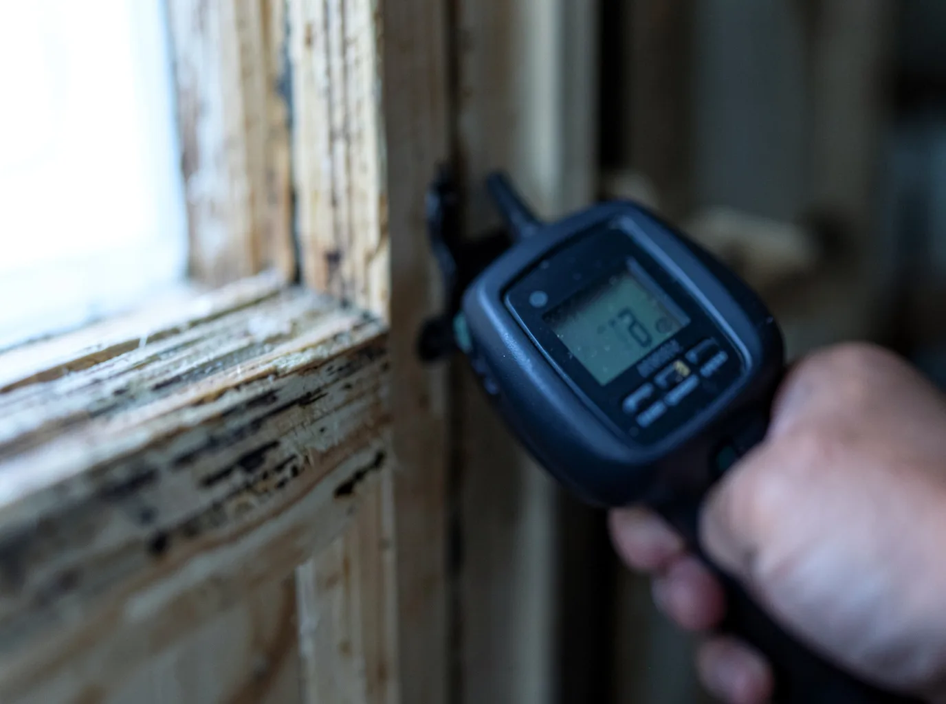 Moisture Inspection And Documentation in Simmesport, LA